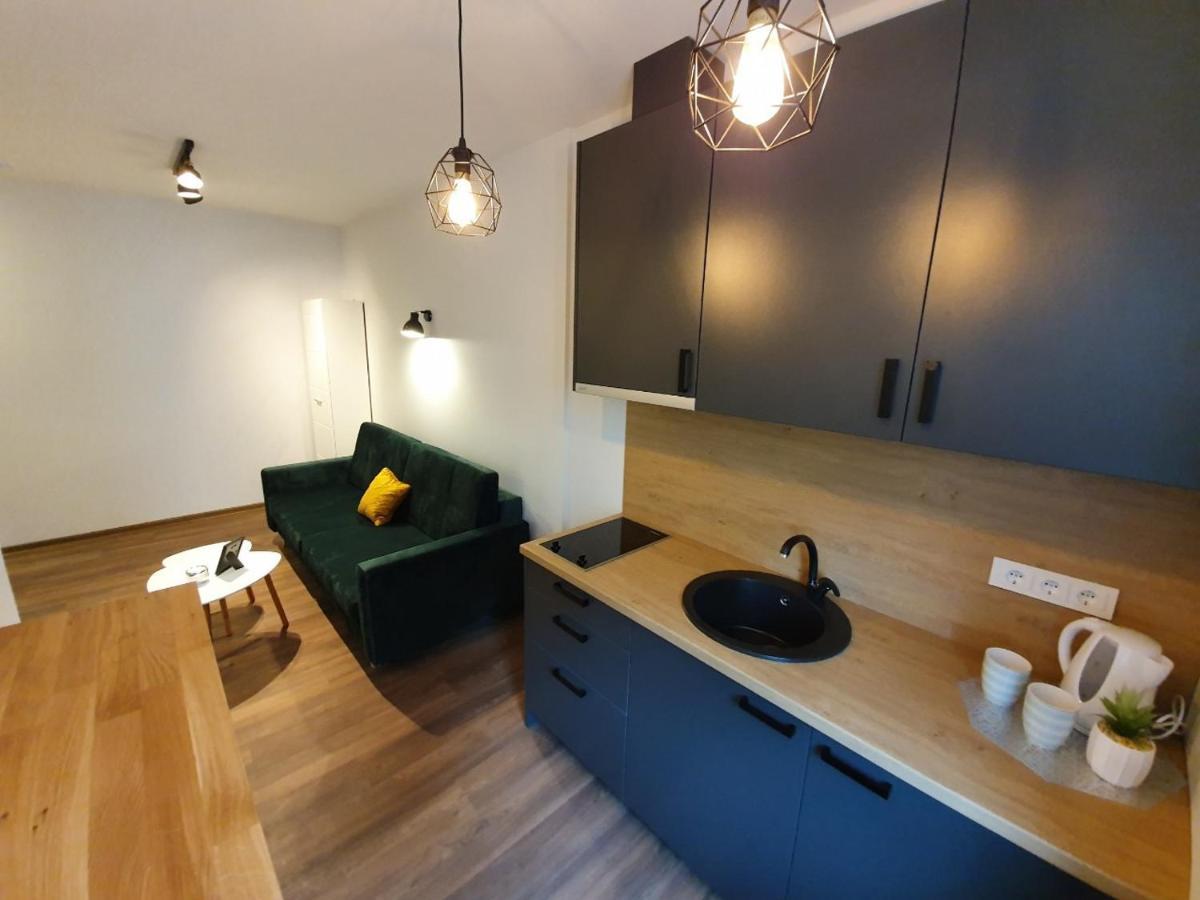 Oak House Apartments Kaunas Eksteriør billede